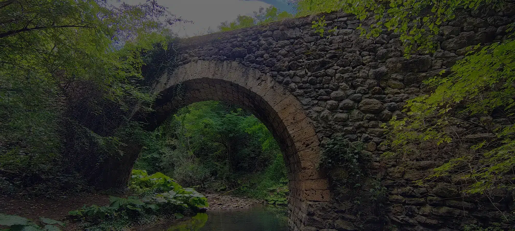 digitalna marketing agencija