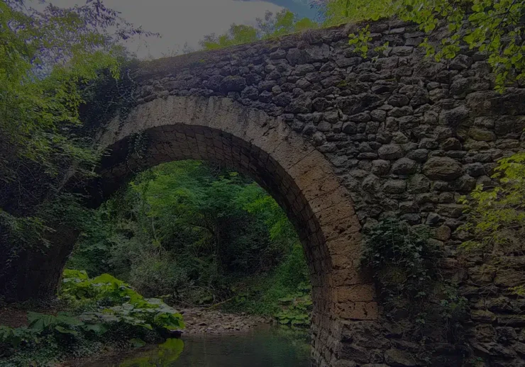 digitalna marketing agencija