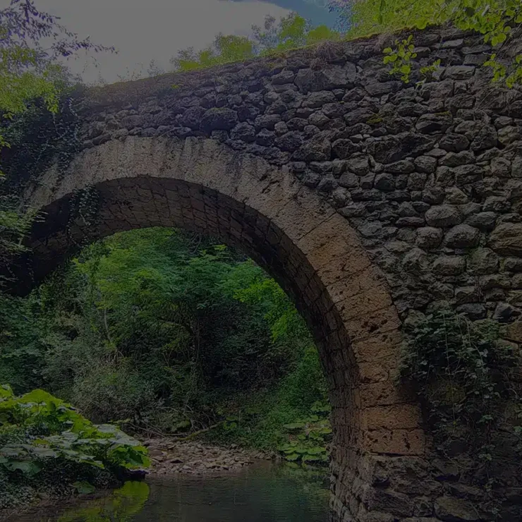 digitalna marketing agencija