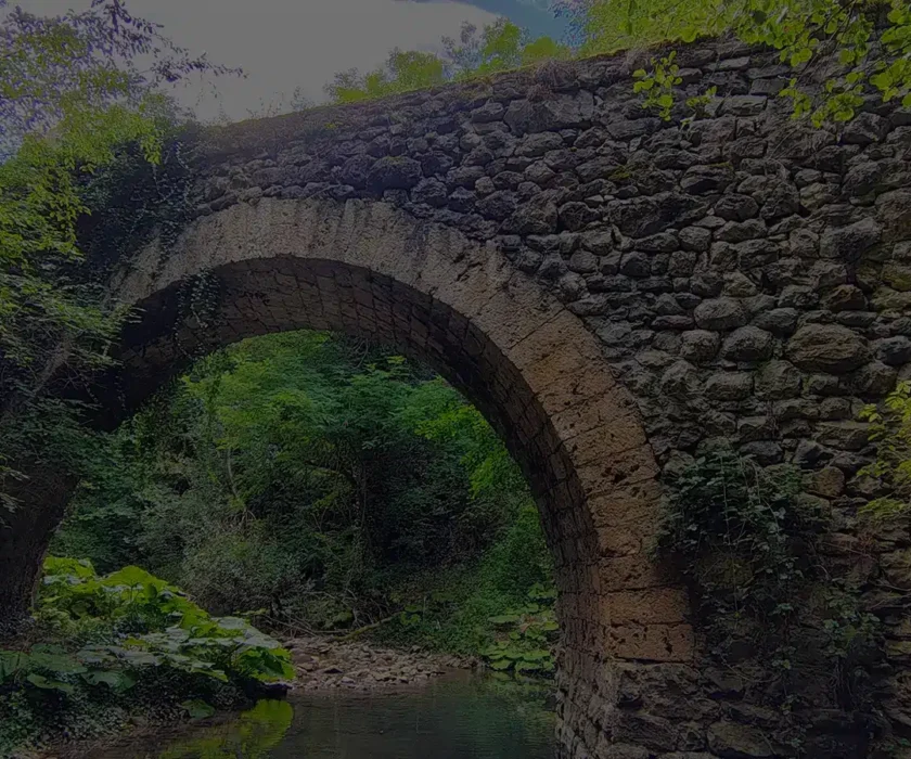 digitalna marketing agencija