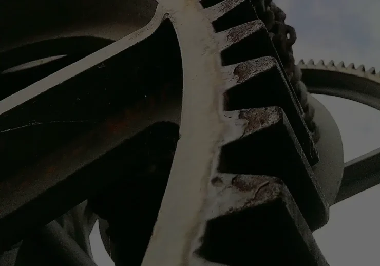 Najbolji CMS za SEO u Srbiji