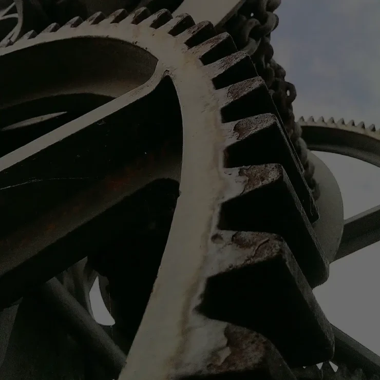 Najbolji CMS za SEO u Srbiji