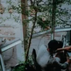 Napredna SEO optimizacija: Arhitektura digitalne nadmoći